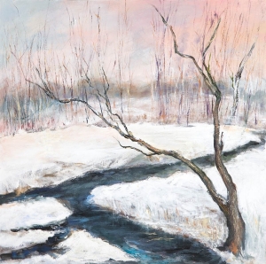 A Passion for Color by Irma Shapiro