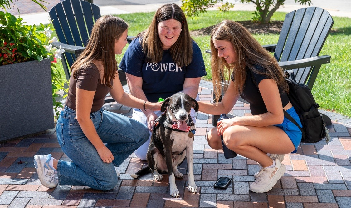Programs and Initiatives Two students and a POWER member pet Villanova's therapy dog, Oliver