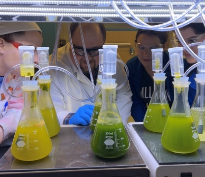 Dr. Eigenbodt and his student researchers check the status of algae growing under different variables.