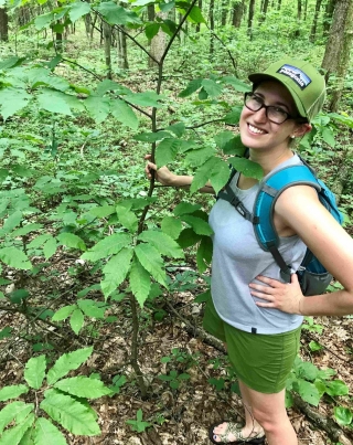 Dr. Santoro poses with a young American chestnut sprout that has yet to be infected with chestnut blight.