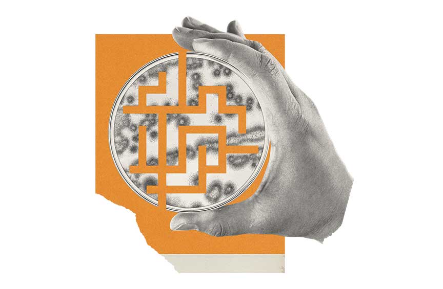 Illustration of a hand holding a petri dish.